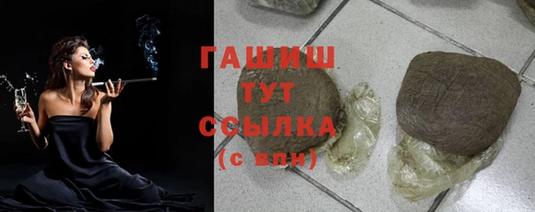 гашик Осташков