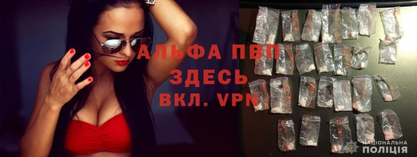 гашик Осташков