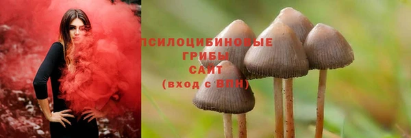 дурь Осинники