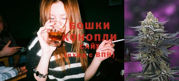 дурь Осинники