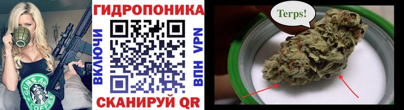 Бошки Шишки семена  продажа наркотиков  Нерчинск 